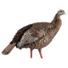 Avian-X HDR Hen Turkey Decoy