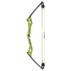 Bear Archery Apprentice Youth Bow Set