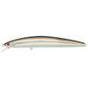 Sand Eel