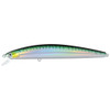 Green Mackerel