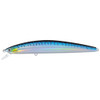 Blue Mackerel