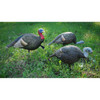 The Grind Relaxed Feeding Hen Turkey Decoy