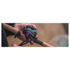 Daiwa Prorex TW Baitcasting Reel