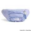 The North Face Jester 2.2 Liter Lumbar Pack