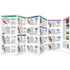 Owls: A Folding Pocket Guide to Familiar Species Worldwide by James Kavanagh