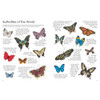 Ultimate Butterfly Sticker Book with 100 Amazing Stickers by Armadillo Books