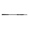Jigging World Onyx Surf Spinning Rod