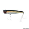 Intent Tackle Coastal Series Popper Lure