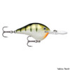 Rapala DT (Dives-To) Series Lure