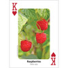 Foraging Playing Cards