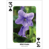 Foraging Playing Cards
