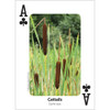 Foraging Playing Cards