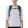 Patagonia Black Hole 25 Liter Backpack