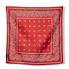 Paisley Red