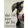 What I Lick Before Your Face: And Other Haikus by Dogs by Jamie Coleman