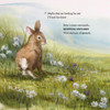 Hop Onward Rabbit Rabbit: A New England Cottontail's Journey by Tonya Shevenell