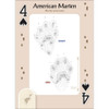 Animal Tracks of the Northeast Playing Cards