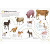 DK Ultimate Sticker Book Farm by DK