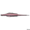 Spro Lady Balance 5.8" Lure - 6 Pk.