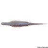 Nories Lady Balance 5.8" Lure - 6 Pk.