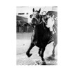 Seabiscuit: An American Legend by Laura Hillenbrand