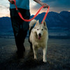 Nite Ize NiteDog Rechargeable LED Flash Dog Leash