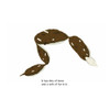 Whose Poop Is That? by Darrin Lunde
