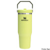 Stanley IceFlow Flip Straw 30 oz. Vacuum Insulated Tumbler