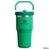 Stanley IceFlow Flip Straw 20 oz. Vacuum Insulated Tumbler
