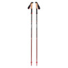 Black Diamond Pursuit FLZ Trekking Pole - 1 Pair
