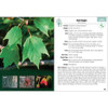 Trees of New England Field Guide by Stan Tekiela