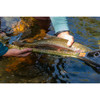 Fishpond Nomad Middle Fork Net