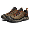 Keen Men's Targhee IV Hiking Shoe - Waterproof