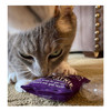 Dr. Pussums Logo Catnip Pillow Cat Toy