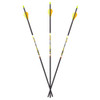 Carbon Express D-Stroyer SD Hunting Arrow