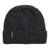 Turtle Fur Men's Ethan Beanie