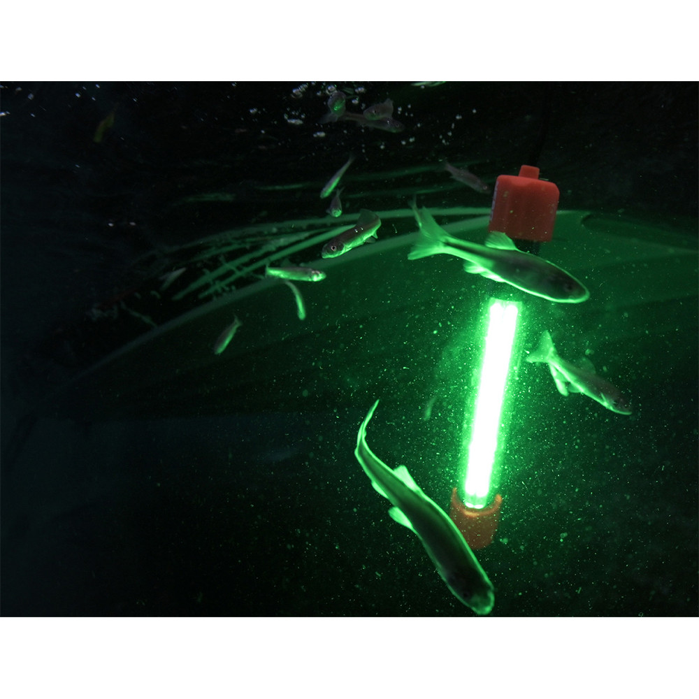 Nebo Submerser 800C Underwater Green Fishing & Dock Light