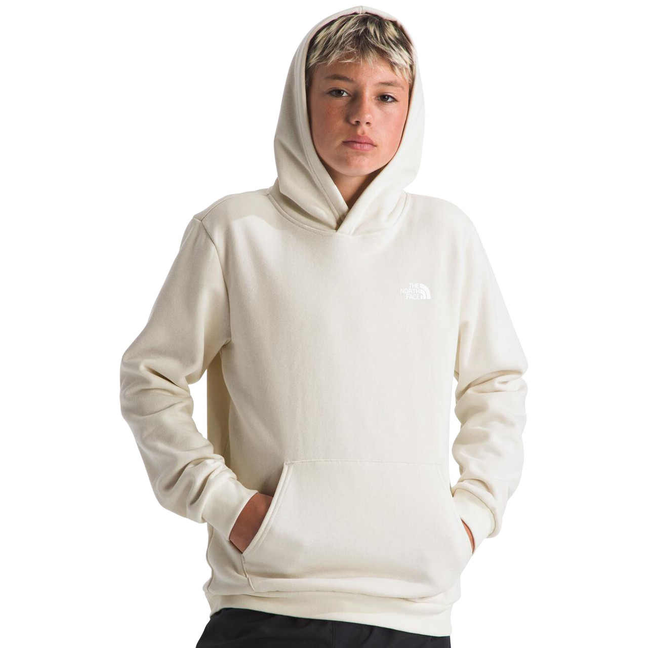 The North Face Teen Evolution Box NSE Pullover Hoodie - Kittery