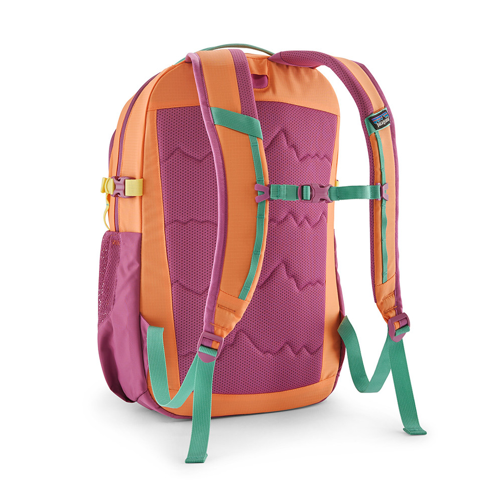 patagonia backpack pink Atom Sling 8L Unisex day comfort whether heading to school Patagonia Refugio 26 Liter Backpack