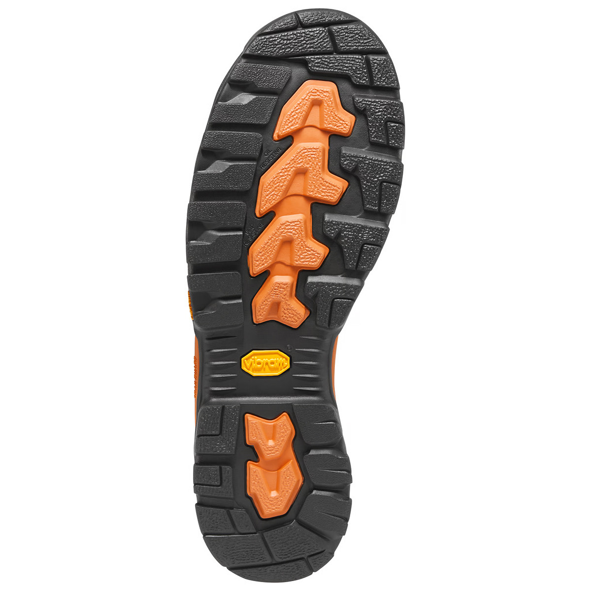 Danner Men's Vicious BOA 8