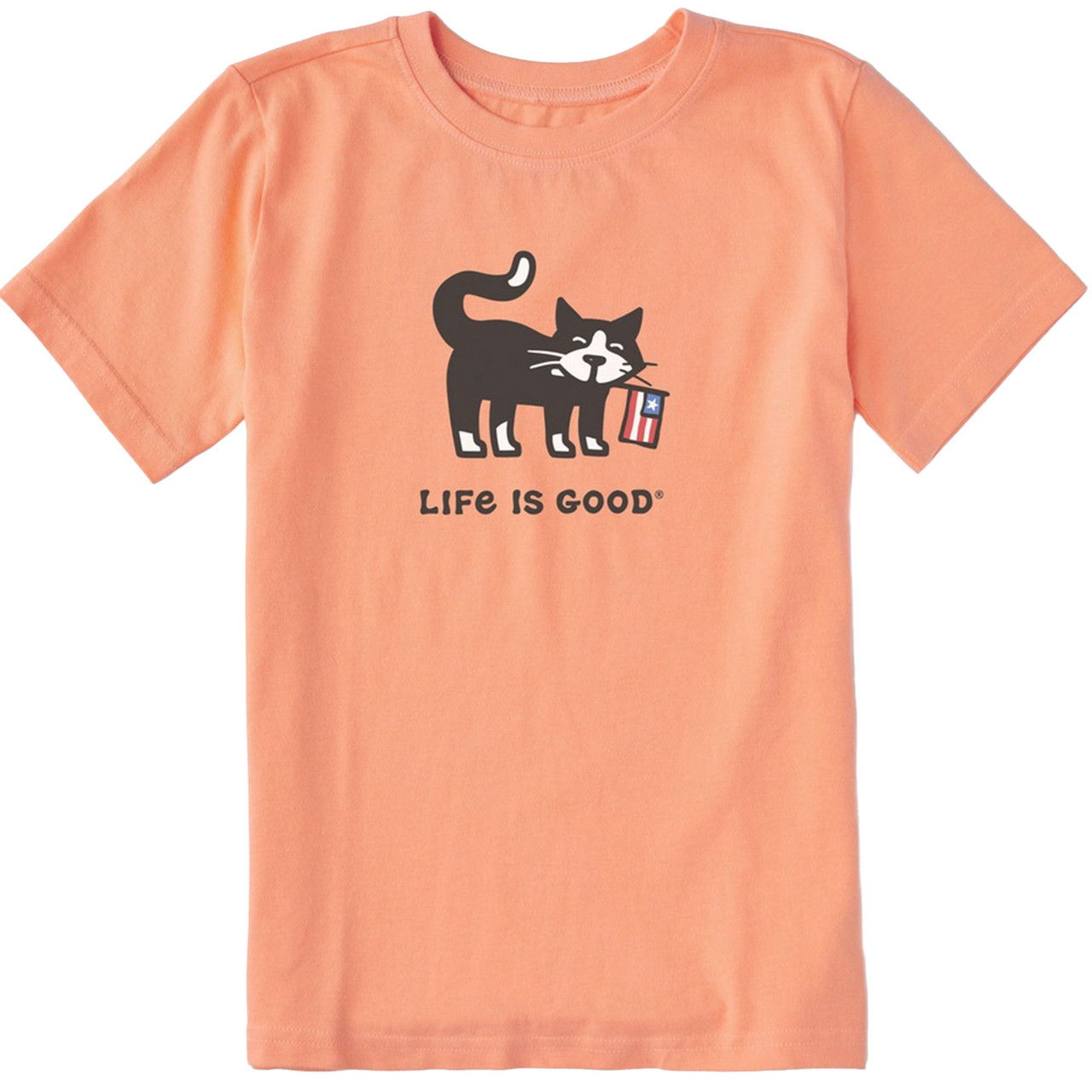 トップス SLINKY CATS T-SHIRT Life Is Good Youth Cat With Flag Crusher Short-Sleeve Shirt