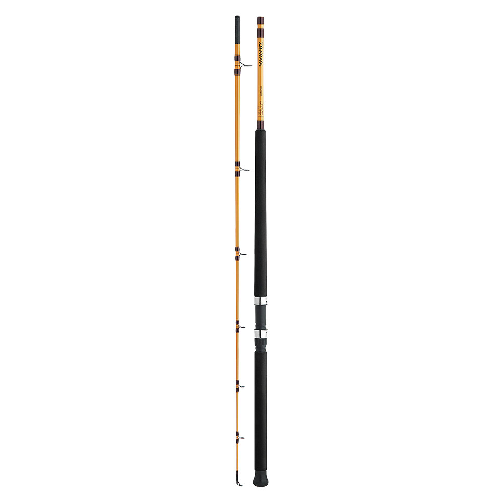 daiwa beefstick surf spin fishing rod & Baitcast Rods Australia Featuring a matt black finish Departments - BEEFSTICK SALMON STEELHEAD