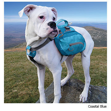 Kurgo Baxter Dog Backpack Kittery Trading Post