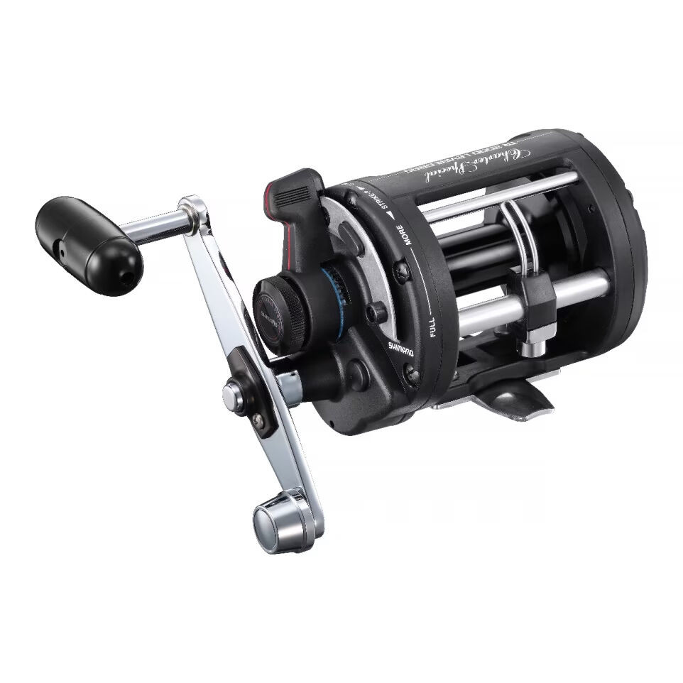 Shimano Charter Special Conventional Reel - Kittery Trading Post