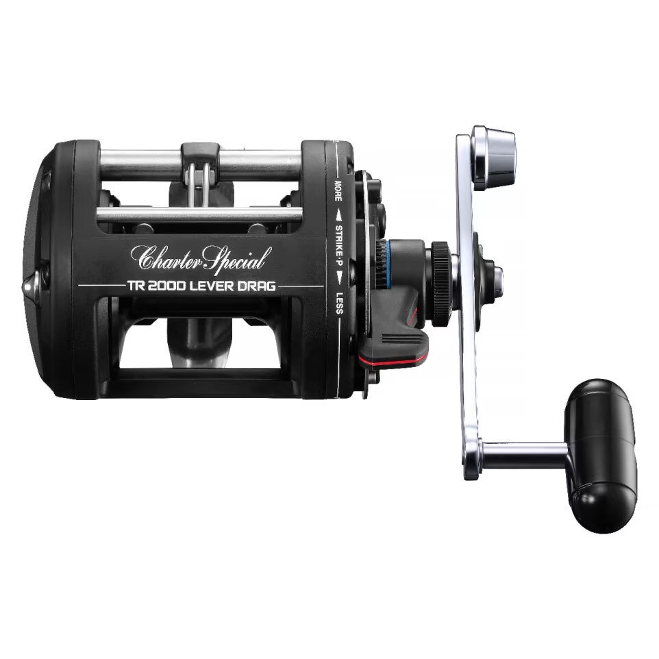 Shimano Charter Special Conventional Reel - Kittery Trading Post
