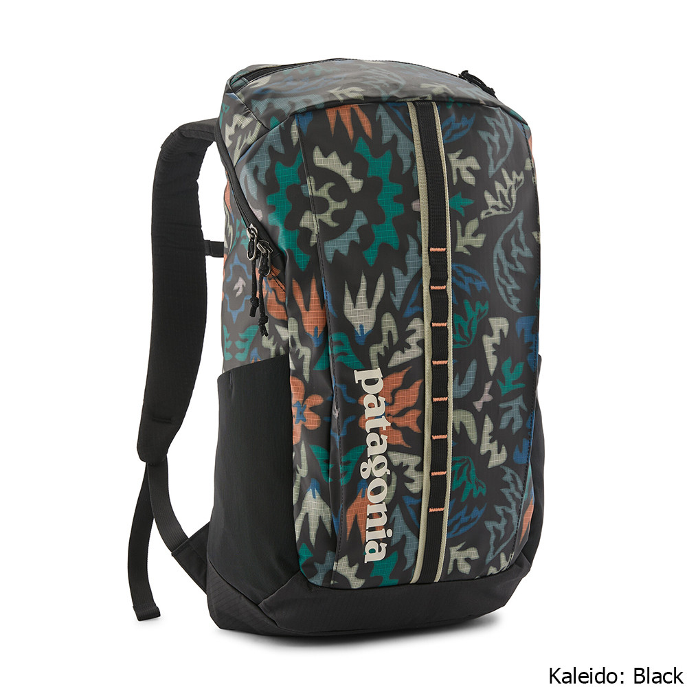 Patagonia Black Hole 25 Liter Backpack - Kittery Trading Post