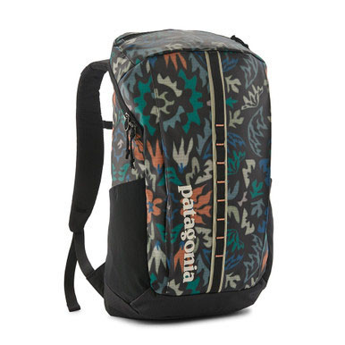 Patagonia Black Hole 25 Liter Backpack - Kittery Trading Post