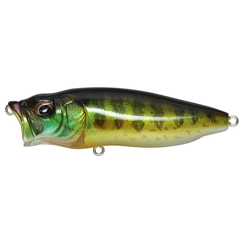 Megabass PopMax Popper Lure - Kittery Trading Post