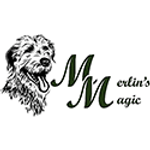 Merlin's Magic