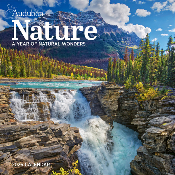 Model# 523530922 - front cover